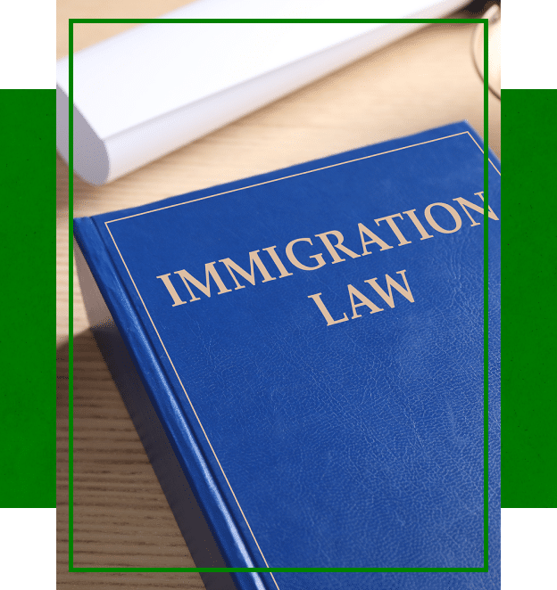 Immigration Law image